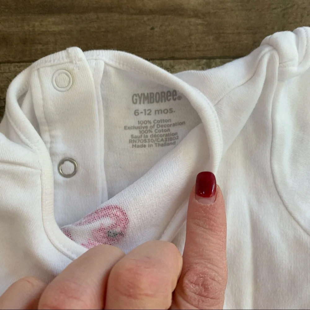 Gymboree flamingo outfit